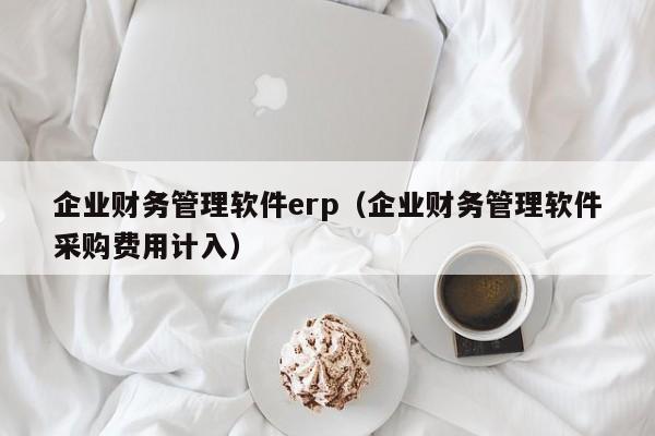 企业财务管理软件erp（企业财务管理软件采购费用计入）