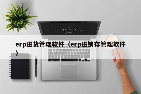 erp进货管理软件（erp进销存管理软件）