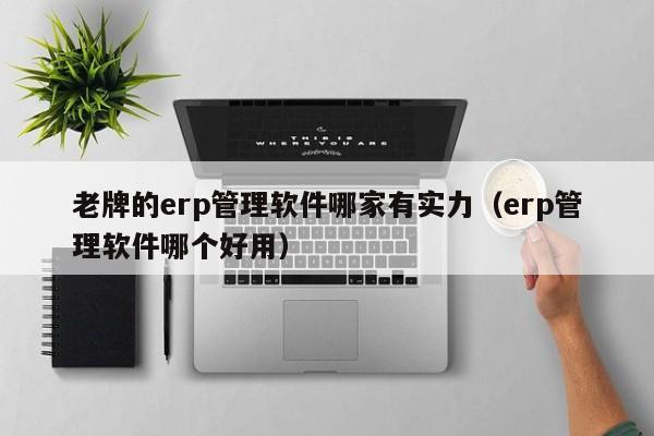 老牌的erp管理软件哪家有实力（erp管理软件哪个好用）