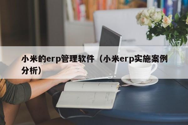 小米的erp管理软件（小米erp实施案例分析）