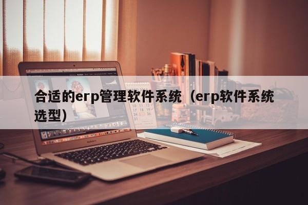 合适的erp管理软件系统（erp软件系统选型）