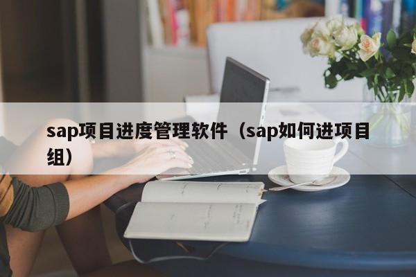 sap项目进度管理软件（sap如何进项目组）