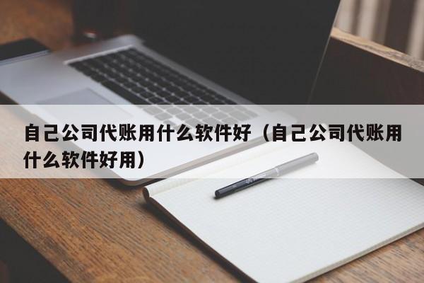 自己公司代账用什么软件好（自己公司代账用什么软件好用）