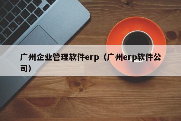 广州企业管理软件erp（广州erp软件公司）