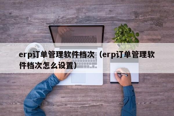 erp订单管理软件档次（erp订单管理软件档次怎么设置）