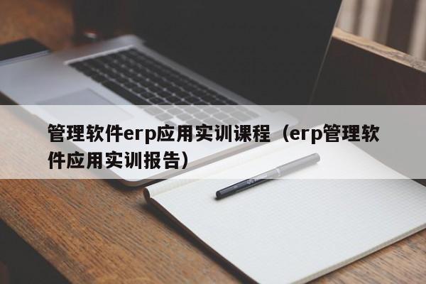 管理软件erp应用实训课程（erp管理软件应用实训报告）