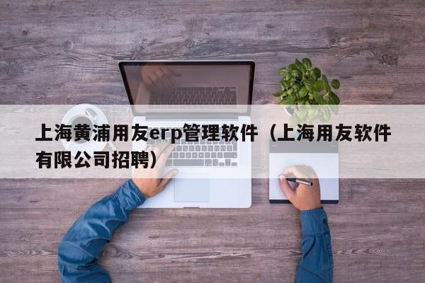 上海黄浦用友erp管理软件（上海用友软件有限公司招聘）