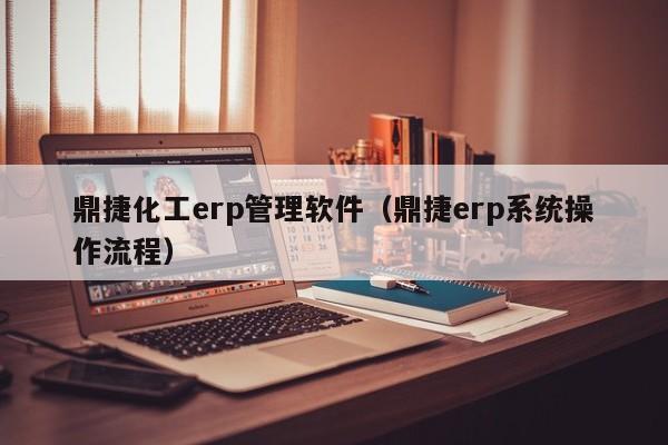 鼎捷化工erp管理软件（鼎捷erp系统操作流程）