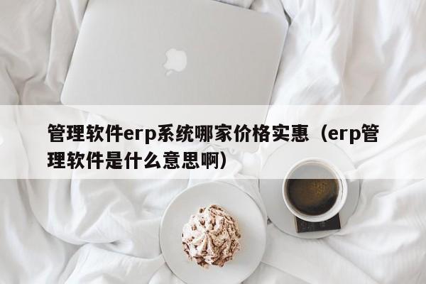 管理软件erp系统哪家价格实惠（erp管理软件是什么意思啊）