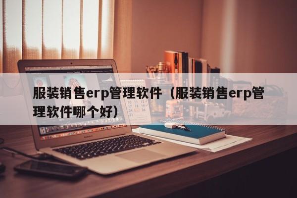 服装销售erp管理软件（服装销售erp管理软件哪个好）