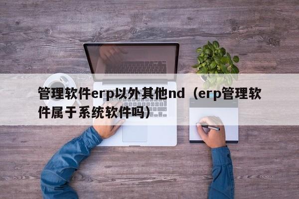 管理软件erp以外其他nd（erp管理软件属于系统软件吗）