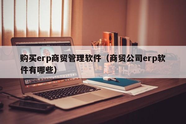 购买erp商贸管理软件（商贸公司erp软件有哪些）