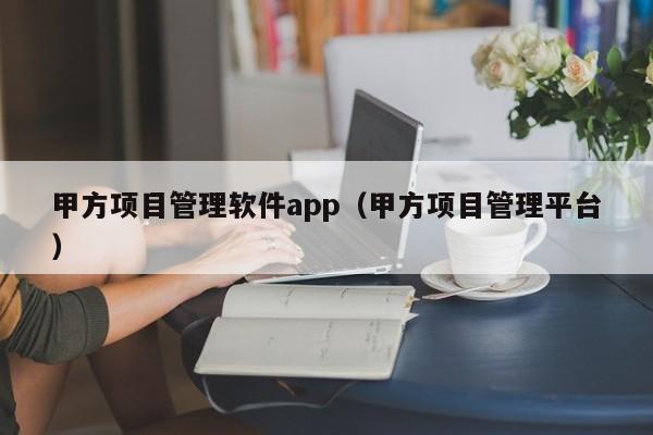 甲方项目管理软件app（甲方项目管理平台）