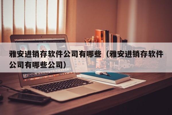 雅安进销存软件公司有哪些（雅安进销存软件公司有哪些公司）