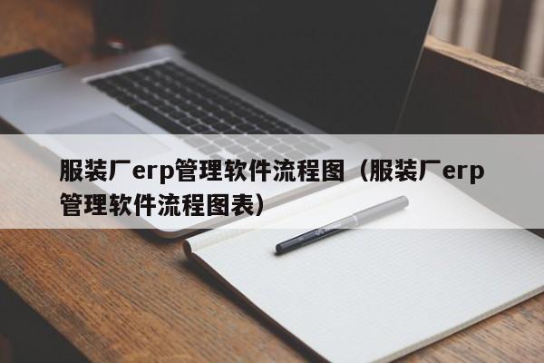 服装厂erp管理软件流程图（服装厂erp管理软件流程图表）