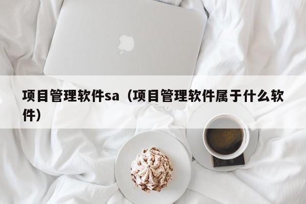 项目管理软件sa（项目管理软件属于什么软件）