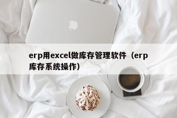 erp用excel做库存管理软件（erp库存系统操作）