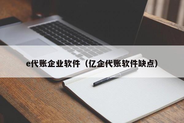 e代账企业软件（亿企代账软件缺点）