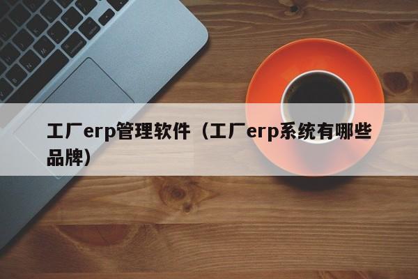 工厂erp管理软件（工厂erp系统有哪些品牌）