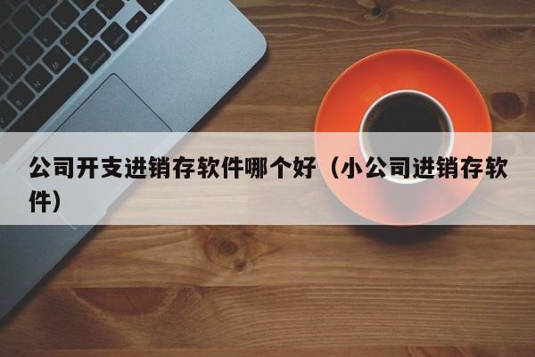 公司开支进销存软件哪个好（小公司进销存软件）