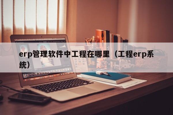 erp管理软件中工程在哪里（工程erp系统）