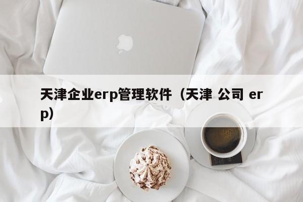 天津企业erp管理软件（天津 公司 erp）