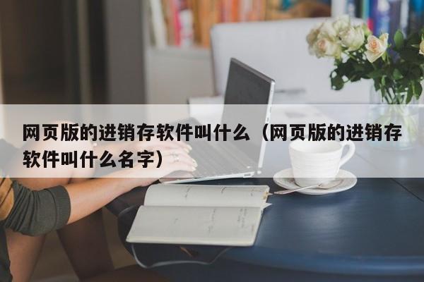 网页版的进销存软件叫什么（网页版的进销存软件叫什么名字）