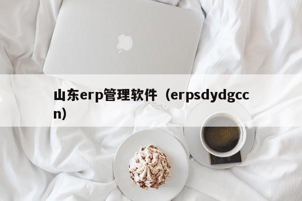 山东erp管理软件（erpsdydgccn）