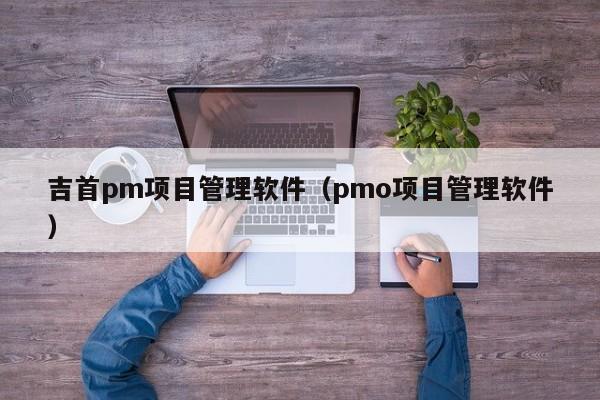 吉首pm项目管理软件（pmo项目管理软件）