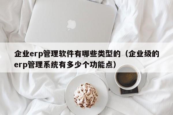 企业erp管理软件有哪些类型的（企业级的erp管理系统有多少个功能点）