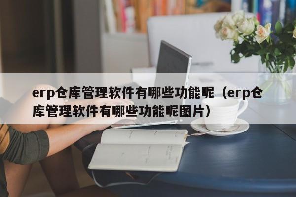 erp仓库管理软件有哪些功能呢（erp仓库管理软件有哪些功能呢图片）