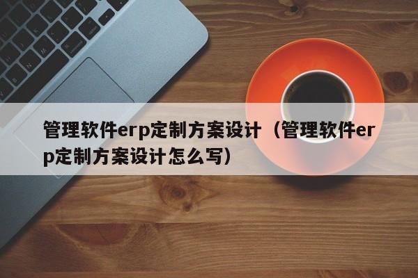 管理软件erp定制方案设计（管理软件erp定制方案设计怎么写）