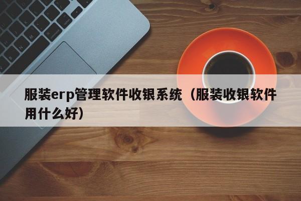 服装erp管理软件收银系统（服装收银软件用什么好）