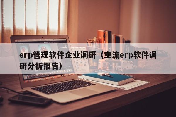 erp管理软件企业调研（主流erp软件调研分析报告）