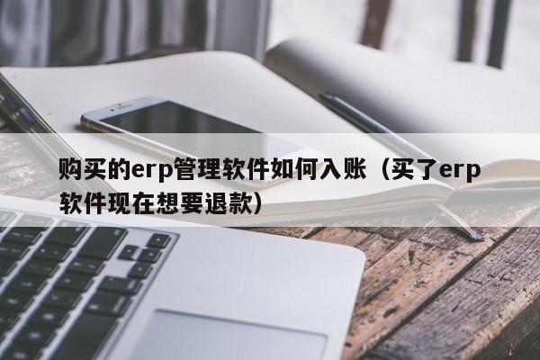 购买的erp管理软件如何入账（买了erp软件现在想要退款）