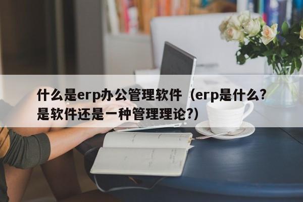 什么是erp办公管理软件（erp是什么?是软件还是一种管理理论?）