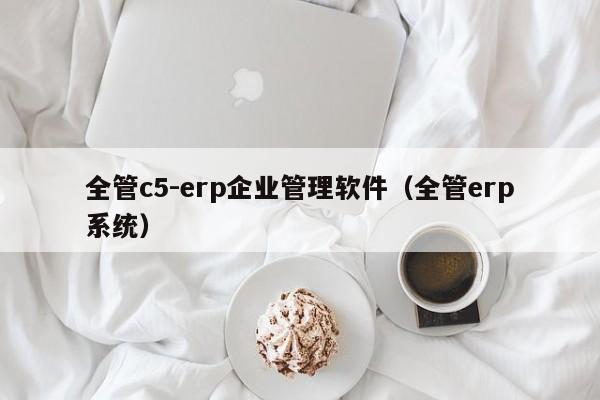 全管c5-erp企业管理软件（全管erp系统）