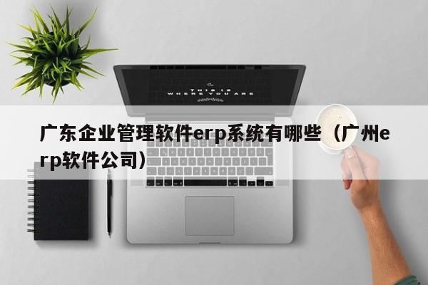 广东企业管理软件erp系统有哪些（广州erp软件公司）