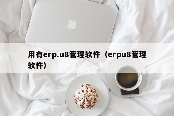 用有erp.u8管理软件（erpu8管理软件）