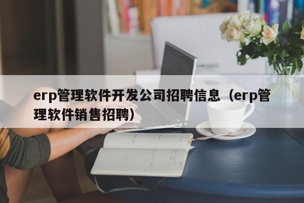 erp管理软件开发公司招聘信息（erp管理软件销售招聘）