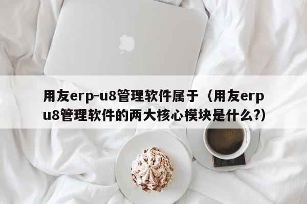 用友erp-u8管理软件属于（用友erpu8管理软件的两大核心模块是什么?）