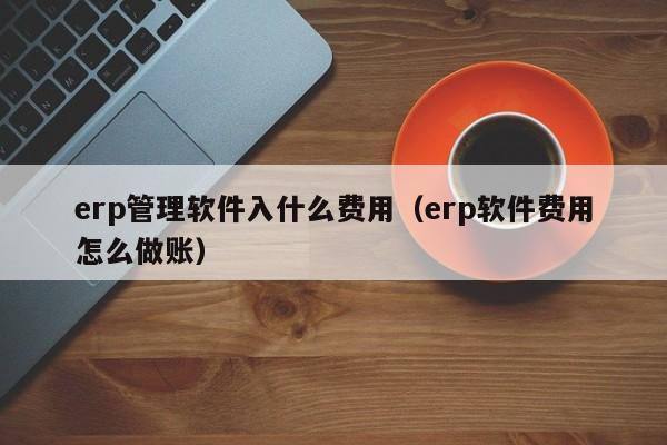 erp管理软件入什么费用（erp软件费用怎么做账）