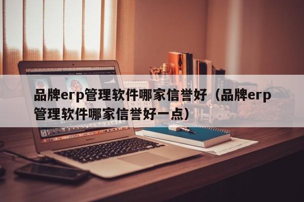 品牌erp管理软件哪家信誉好（品牌erp管理软件哪家信誉好一点）