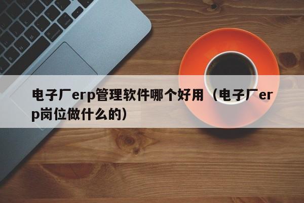 电子厂erp管理软件哪个好用（电子厂erp岗位做什么的）