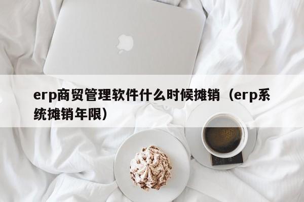 erp商贸管理软件什么时候摊销（erp系统摊销年限）