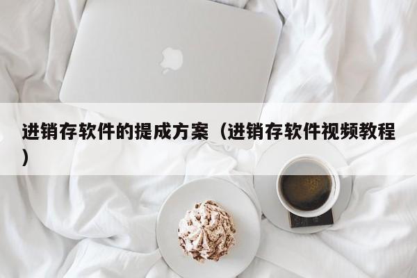 进销存软件的提成方案（进销存软件视频教程）