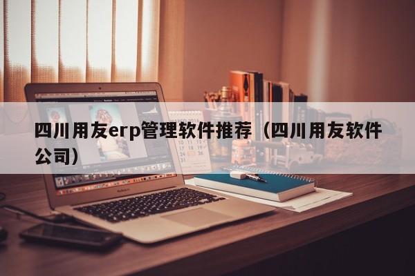 四川用友erp管理软件推荐（四川用友软件公司）