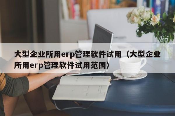 大型企业所用erp管理软件试用（大型企业所用erp管理软件试用范围）