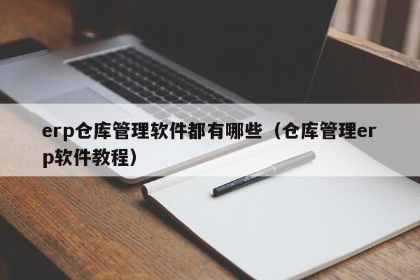 erp仓库管理软件都有哪些（仓库管理erp软件教程）