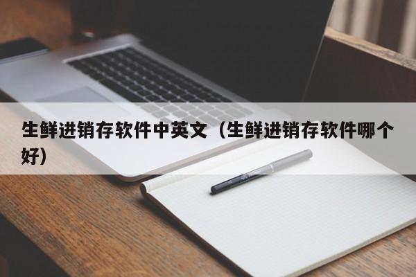 生鲜进销存软件中英文（生鲜进销存软件哪个好）